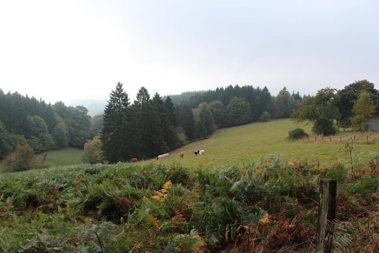 Ardennature Vakantiehuizen Met Prive-Sauna La-Roche-en-Ardenne Luaran gambar