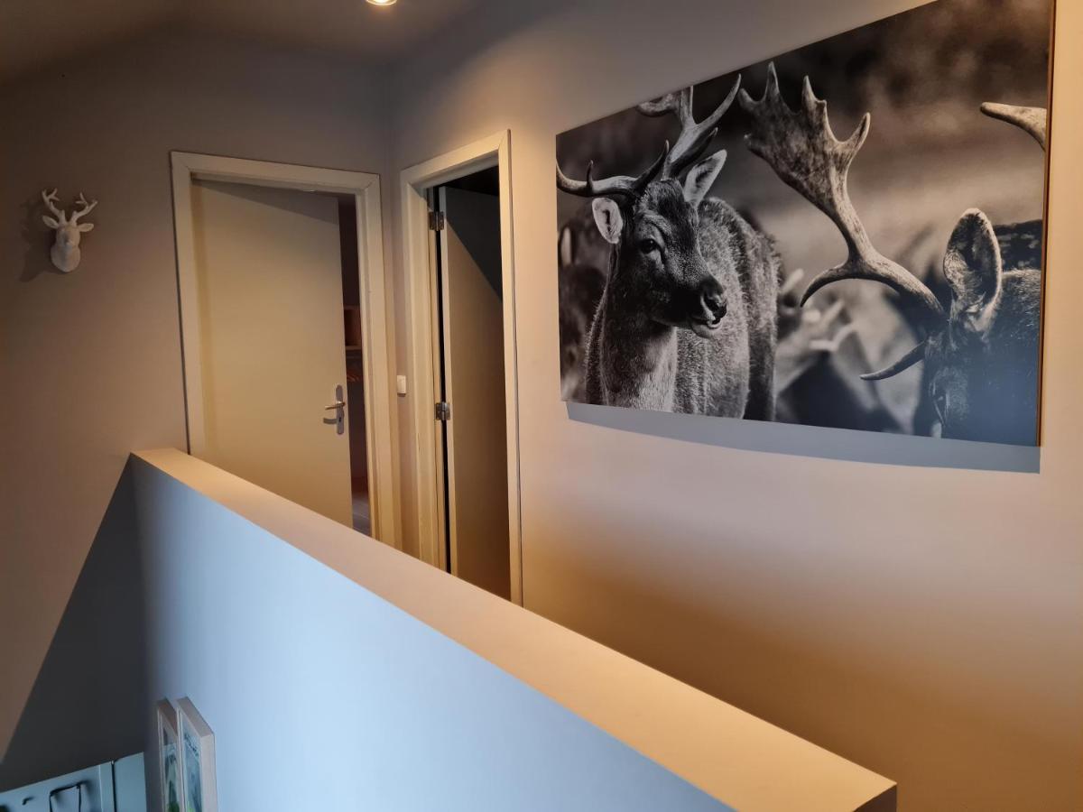 Ardennature Vakantiehuizen Met Prive-Sauna La-Roche-en-Ardenne Luaran gambar